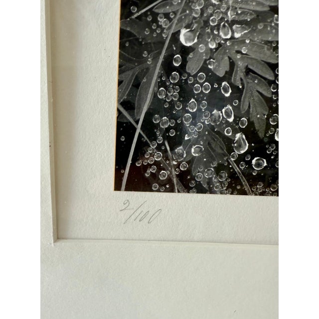 Andreas Feininger, American Photographer Andreas Feininger Silver Gelatin Vintage Print For Sale In Miami - Image 6 of 11