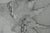 Gochka Charewicz Trunk and Roots Original lithograph Signed in pencil Limited edition of 29 (the number shown is an...