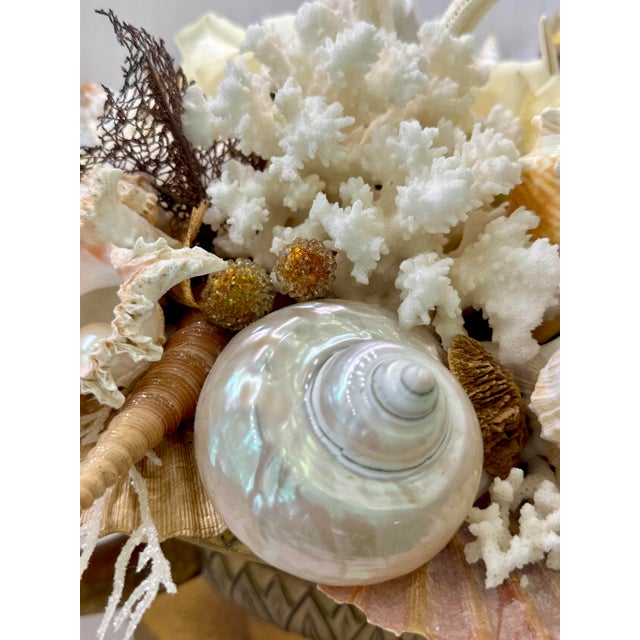 Large Neoclassical Coastal Shell Composition Urn – Nautical Fine Art Decor For Sale - Image 4 of 11