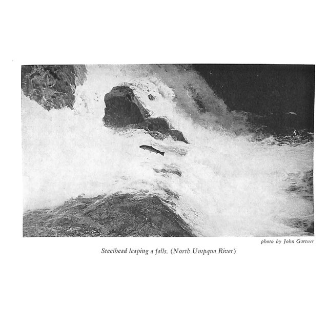 "Western Trout" Book 1948 Macdowell, Syl For Sale - Image 4 of 9