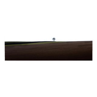 Laurent Campus, Loneliness, 2011, Archival Pigment Print For Sale