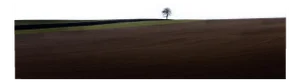 Laurent Campus, Loneliness, 2011, Archival Pigment Print