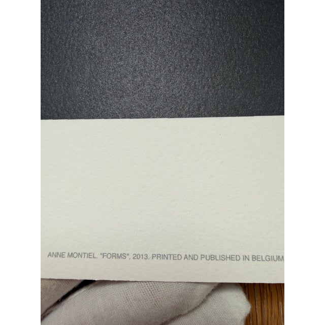 Anne Montiel, Forms, 2013, Printed in Belgium For Sale - Image 4 of 12