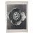 1940s Botanical Blossfeldt Print - No. 42 For Sale