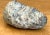 Gemstone Vintage Natural Blue Quartz Geode For Sale - Image 7 of 12