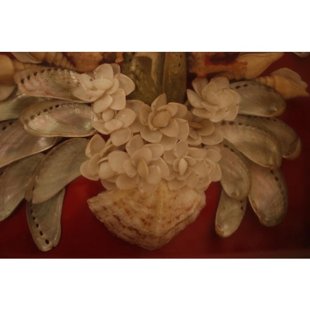 Mid 20th Century Mid Century Sailor's Valentine Shell Bouquet With Carved Wood Shadow Box Frame For Sale - Image 5 of 15