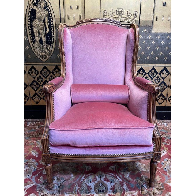 Brown Armchair - Louis Xvi Style Winged Bergere For Sale - Image 8 of 8