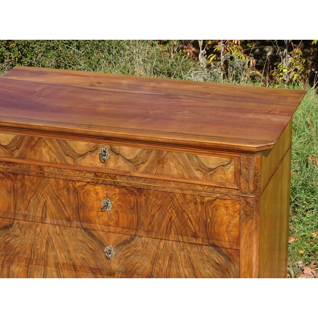 Large Louis Philippe Walnut Chest of Drawers, 1890s For Sale - Image 5 of 18