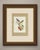 Tanagers and cotingas print after Descourtilz, dated 1944 and issued as Estampa 29 of the Ornitologia Brasileira, a colour...