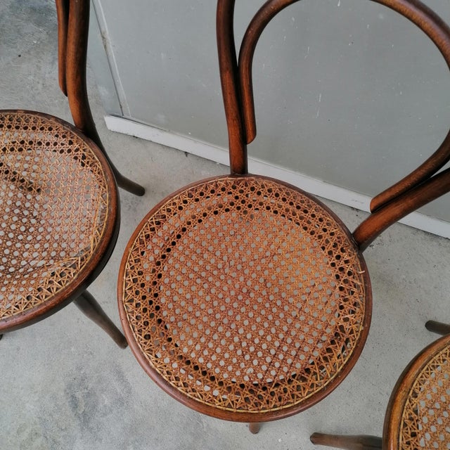 Model No. 18 Chairs from Gebrüder Thonet and Wackerlin & C., 1980s, Set of 7 For Sale - Image 18 of 18