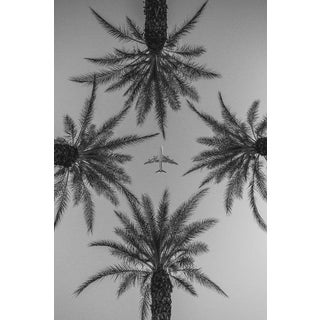 "Palm Springs Plane & Palm Trees" Contemporary Photograph by Jason Mageau 20x24 Photo For Sale