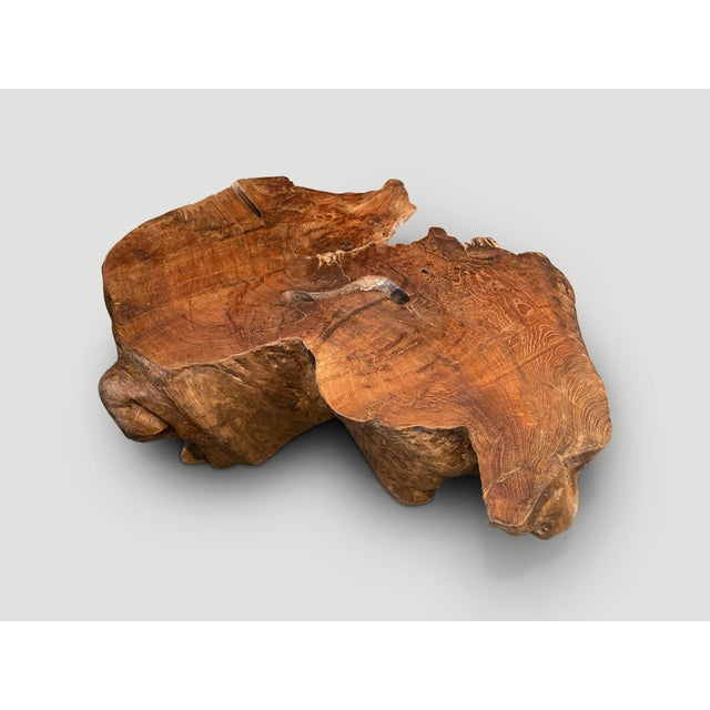 2010s Andrianna Shamaris Sculptural Teak Wood Coffee Table For Sale - Image 5 of 18