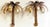 Pair of Maison Jansen Gilt Metal Palm Tree Sconces, France, 20th C A dramatic and highly decorative pair of Maison Jansen...