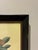 Vintage French Nèfle De Correa Botanical Fruit Print in Distressed Black & Gold Frame For Sale - Image 4 of 5