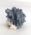 Natural Blue Coral Specimen For Sale In Los Angeles - Image 6 of 7