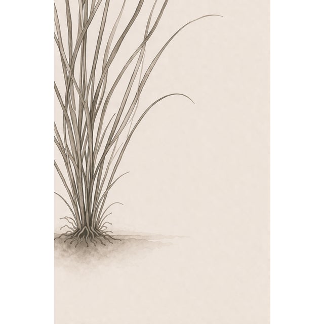 Coastal Sea Grass Study Iv, Minimalist Botanical Art Print, 24" × 36" Reproduction For Sale - Image 9 of 10
