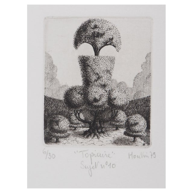 François Houtin, Topicure No. 10, 1979, Original Engraving For Sale