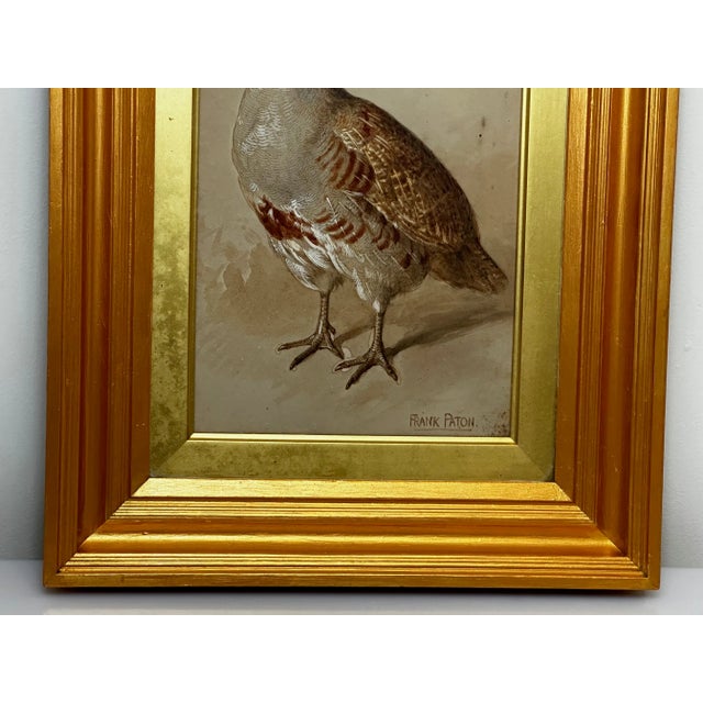 British Victorian Watercolour Painting Partridge Game Bird by Frank Paton For Sale - Image 10 of 12