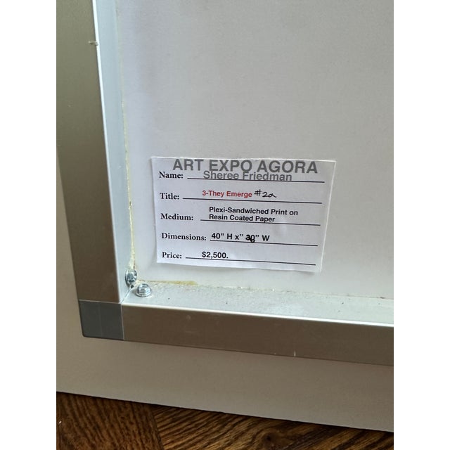 Contemporary plexi-sandwiched print by artist Sheree Friedman, titled “They Emerge #2A.” The verso label identifies the...