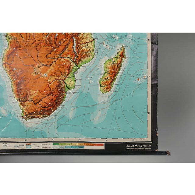 Large Educational Wall Chart, 1950s For Sale - Image 10 of 12