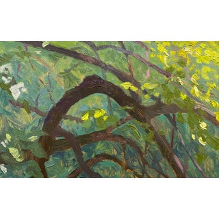 Komorebi by Brad Davis | Oil on Panel Depiction of sunlight filtering through tree branches For Sale