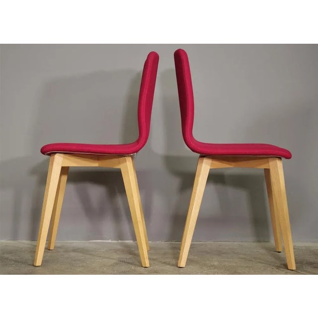 Wood Modern Maple Chairs, 2010s, Set of 4 For Sale - Image 7 of 11