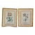 Vintage Botanical Prints in Italian Gilt Gold Leaf Frames - A Pair For Sale