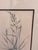 Cream Crate & Barrel Botanical Study Prints, Set of Three For Sale - Image 8 of 12
