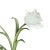 Pair of Vintage Tole and Porcelain Tulip Candle Sconces For Sale - Image 10 of 12