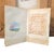 Pair Signed M. Clark Coastal Landscape Oil Paintings in Carved Gilt Frames 18.5" For Sale - Image 16 of 17