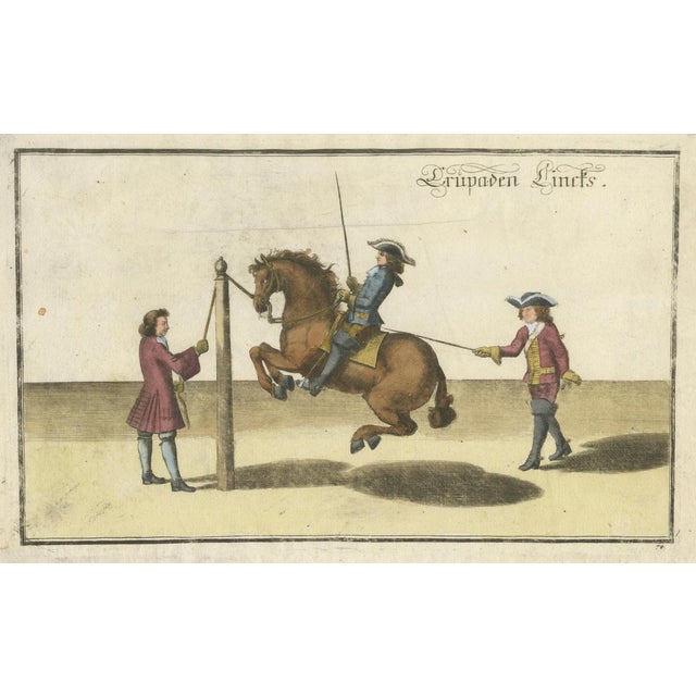 Baroque William Cavendish, Levade Horse Training, 1700s, Engraving For Sale - Image 3 of 12