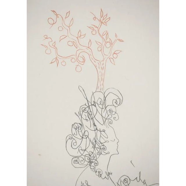 Salvador Dali, The Lady of the Orangery, Original Engraving For Sale - Image 4 of 6