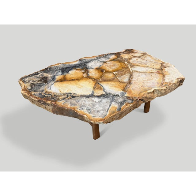 Andrianna Shamaris Beautiful Rare Petrified Wood Coffee Table For Sale - Image 12 of 18