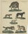 Antique handcolored engraving of wild canines and hyenas, quadruped xv, c.1800 this original handcolored copperplate...