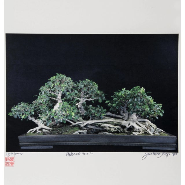 Photorealism Imperial Series X, Jonathan Singer For Sale - Image 3 of 3