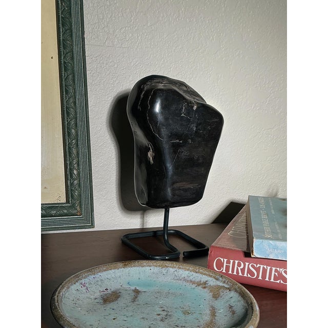 A striking natural petrified wood specimen mounted on a custom metal display stand. This sculptural piece showcases the...