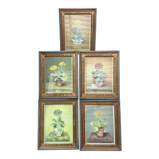 Set of 5 Stunning Botanical Framed Prints Signed and Numbered For Sale