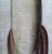 Indian Hortus Malabaricus Hand-Colored Botanical Engraving of the Talipot Palm, Rheede, Amsterdam, Circa 1682 For Sale - Image 3 of 8