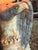 Antique Italian Carved Alabaster Eagle Table Lamp With Illuminated Globe Shade For Sale - Image 4 of 5