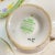 English Tea Cups and Saucers by Royal Standard Bone China Made in England - Set of 11 For Sale - Image 12 of 12