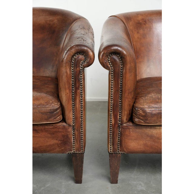 Vintage Sheepskin Club Armchairs, Set of 2 For Sale - Image 10 of 15