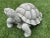 Late 20th Century Cast Stone Tortoise Garden Ornament For Sale - Image 5 of 7
