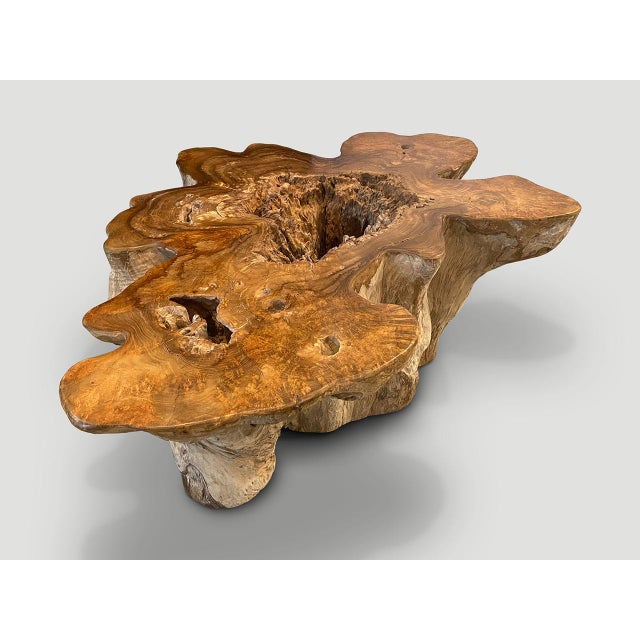 Andrianna Shamaris Impressive Organic Teak Wood Coffee Table For Sale - Image 11 of 18