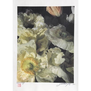 White Poppies, Jonathan Singer, Photography For Sale