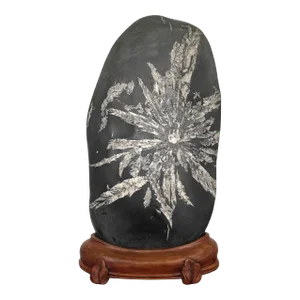 Chinese Scholar Rock Chrysanthemum Stone