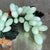 Vintage Carved Green Stone Grape Cluster Sculptures - A Pair For Sale In West Palm - Image 6 of 13