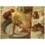 Paper 1955 After Edgar Degas "The Tub", First Edition Full-Color Vintage Print For Sale - Image 7 of 8