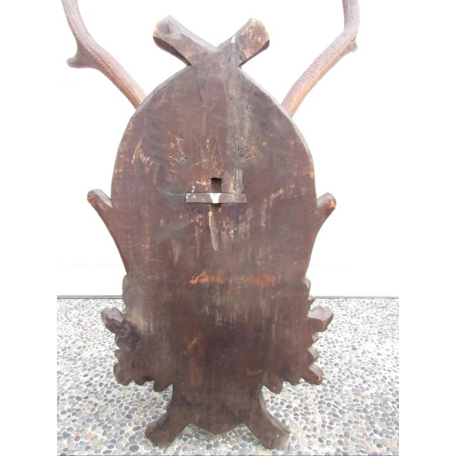 Vintage Black Forest Mounted Deer Antlers For Sale - Image 11 of 16