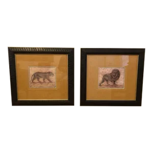 Contemporary Pamela Glada Safari Wildlife Prints, Framed - Set of 2
