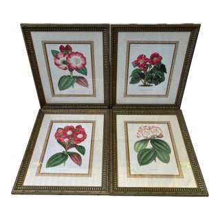Set of 4 Framed Antique French Botanical Chromolithographs From L’Illustration Horticole by Jean Linden For Sale